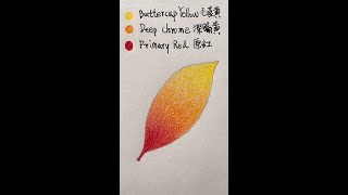 [Color Mixing] Color Pencil - Three Color Mixing Gradients3  彩色铅笔-三种颜色混合渐变