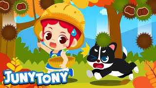 Fall is Here | Season Song for Kids | Kindergarten Song | Autumn Song | JunyTony