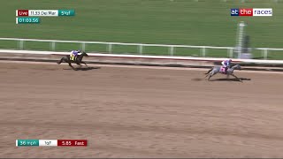 Record-breaking $3m colt BRANT is sensational on Del Mar debut!