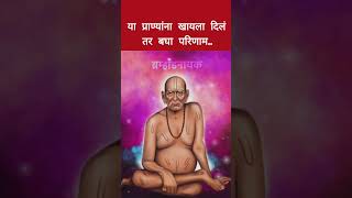 या प्राण्यांना खायला दिलं तर परिणाम बघा#shorts#subscribe#viral