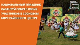 Национальный праздник Сабантуй собрал своих участников в сосновом бору районного центра