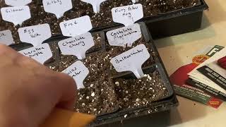 How to Start 33 types of tomatoes for the big 2024 grow out.