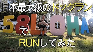 【日本初？犬Tuber】　日本最大級のドッグランでRUNしてみた  ドッグランレビュー第２弾