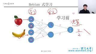 197模拟人类大脑：神经网络的故事，人工智能应用实战 万门 大学 9