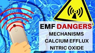 EMF Danger: Basic Cellular Mechanisms, Calcium Efflux \u0026 Nitric Oxide