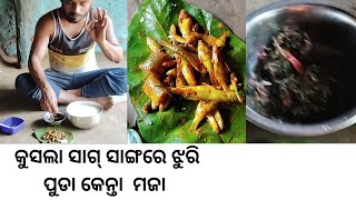 #youtube ପଖାଲ୍ ସାଙ୍ଗେ ମାଛ୍#foodvideo