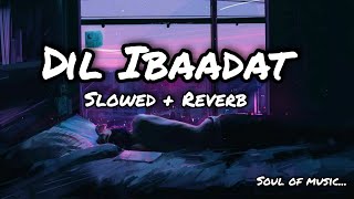 Dil Ibaadat | Slowed + Reverb | Tum Mile | Soul Of Music #KK