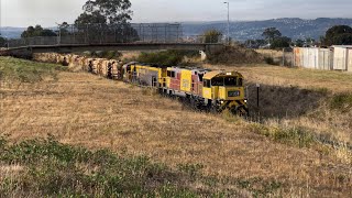 TasRail 2051 TR14 #34 Log train powering through Mayfield/Rocherlea