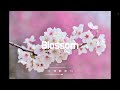 무료비트 봄 느낌 힙합 비트 감성 비트 알앤비 비트 10cm x 빅나티 타입 비트 hip hop r u0026b type beat l blossom prod. sloth