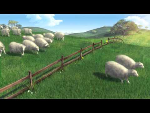 Sheep Youtube