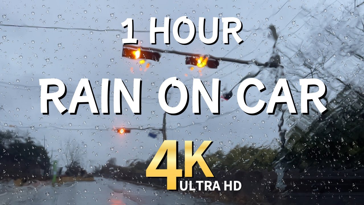Rain On Car 1hour Sleep Study Focus Relax Asmr Youtube