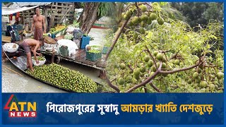 পিরোজপুরের সুস্বাদু আমড়ার খ্যাতি দেশজুড়ে | Pirojpur | Aamra | ATN News