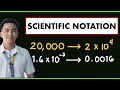 Scientific Notation | How to Convert Numbers in Scientific Notation