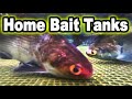 Catfish Bait Tanks at Home