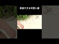 アナコンダはいません🙅‍♀️笑　 夫婦 可愛い 日常　 旅行