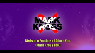 Birds of a Feather x I Adore You (Mark Kross Edit)