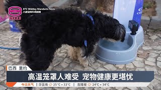 热浪高温飙44℃ 市区设\