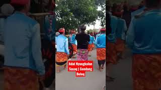 Pelaksanaan Nyongkolan Adat Sasaq |Gendang Beleq #shorts