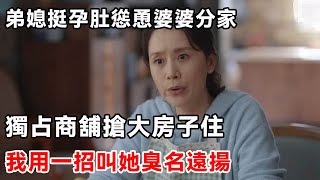 弟媳挺孕肚慫恿婆婆分家，獨占商舖搶大房子住，我用一招叫她臭名遠揚 | 柒妹有話說