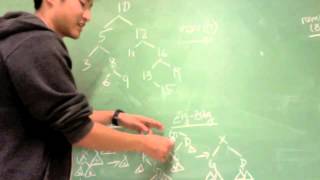 Splay Trees - Data Structures in 5 Minutes