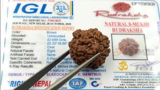 8 Mukhi Natural Rudraksha 2.690 Grams