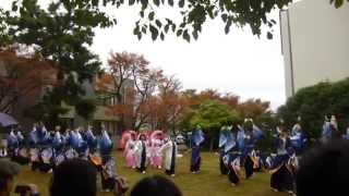 浜松学生連　鰻陀羅　2015　静大祭in浜松2日目　ストリートパフォーマンス