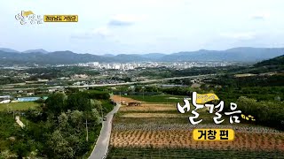 [Go! Go! 오감여행 발걸음_7회] 자연 속 감성 충전 여행지! '경남 거창'