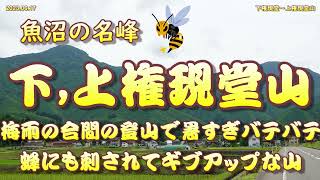 【新潟県】魚沼市  下上権現堂山　登山😊　2023 06 17