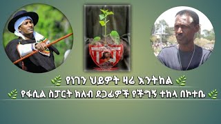 Ethiopia : የአፄዎቹ ደጋፊዎች በኮተቤ ያካሄዱት ችግኝ ተከላ | አርቲስት ጋሽ አበራ ሞላ | አርቲስት ወርቁ ሞላ | fasil kenema fans