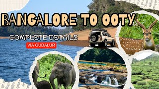 Bangalore to Ooty via Gudalur 🚗 | Scenic Road Trip Guide \u0026 Complete Details | Malayalam Travel Vlog|