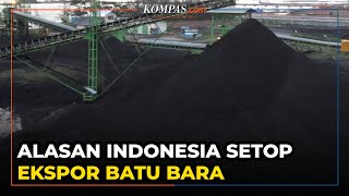 Alasan Indonesia Setop Ekspor Batu Bara, Pasokan Rendah hingga Kebutuhan Listrik Nasional Terancam