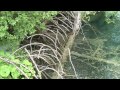 【k】croatia travel plitvice 크로아티아 여행 플리트비체 국립공원 2 유람선 투어와 원시림 plitvice lakes park2 cruise forest