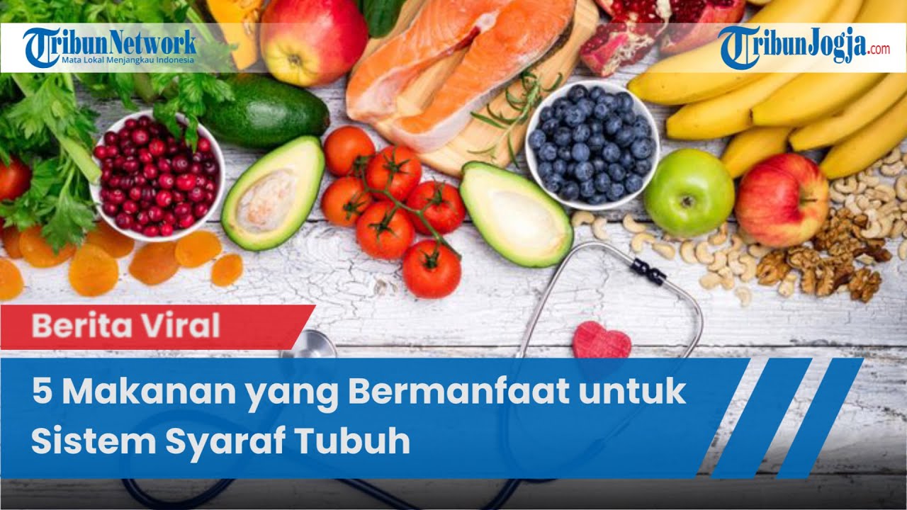 5 MAKANAN YANG BERMANFAAT Untuk Sistem Syaraf Tubuh - YouTube