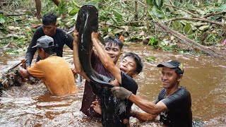 Tradisi Warga Kalimantan Menombak Ikan Tapah Babon di Sungai Kecil Kapuas Hulu