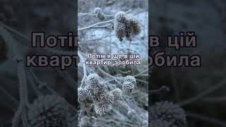 Відсвяткувала мама-заробітчанка Новий Рік з сином і невісткою, і все зрозуміла