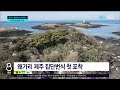 왜가리 제주 집단번식 첫 확인 jibs 제주 2022.12.07