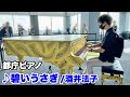 【都庁ピアノ】『碧いうさぎ（酒井法子）』を弾いてみた。【ストリートピアノ】