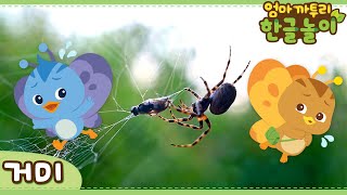 * Spider * | Learn Animals Name in Korean | Katuri | Learn Korean | Learn Animals