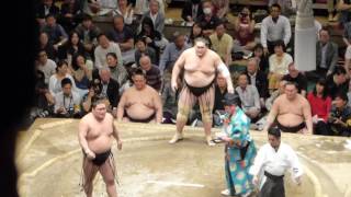 Ozeki Terunofuji (2-12) - Ozeki Goeido (9-5) , Sumo : Natsubasho '16