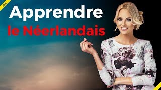 Conversation en Néerlandais ||| Les expressions et mots les plus importants en Néerlandais ||| 3 h