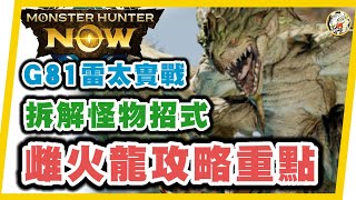 MHN 雌火龍新手攻略!! G81雷太刀打紫3雌火龍~Monster hunter now 攻略! 拆解招式~