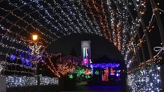 小山田　寺ヶ池公園クリスマスイルミネーション