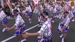 ひょっとこ連　第56回東京高円寺阿波おどり　桃園演舞場