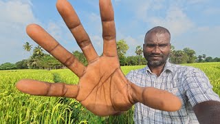 ASMR /  OPEN PLACE RUNNING HAND MOVEMENT