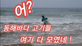 [SBS생활의달인 송학맨]Castnet Fishing. #바다투망달인 #학꽁치사냥 #숭어 #전어