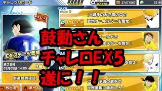 【たたかえドリームチーム】黄金世代の031 鼓動さんチャレロEX５遂に！【ＣＡＰＴＡＩＮＴＳＵＢＡＳＡ】