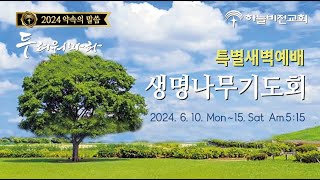 [24/6/11] 하늘비전교회 특별 새벽 생명나무 기도회 - 기도 외에 다른 것으로는 (마가복음 9장 14~29절) 오영택 담임목사