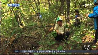 충주MBC 140821 싱크홀, 광산 주변도 실태 조사해야