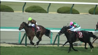 【チューリップ賞2023】 パドック～本馬場入場～レース  現地映像 モズメイメイ