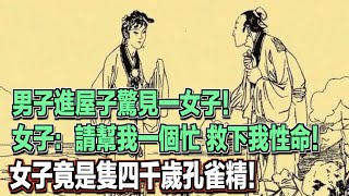 男子進屋子驚見一女子！女子：請幫我一個忙，救下我性命！男子救後才發現女子是隻四千歲孔雀精！ ｜民間故事會